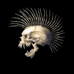 Meet your Posher, Levi